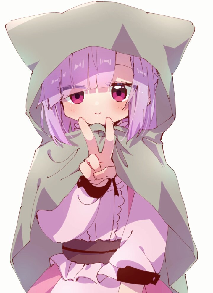 にゃーにゃん 様 FCixzReVcAEx2rs.jpg