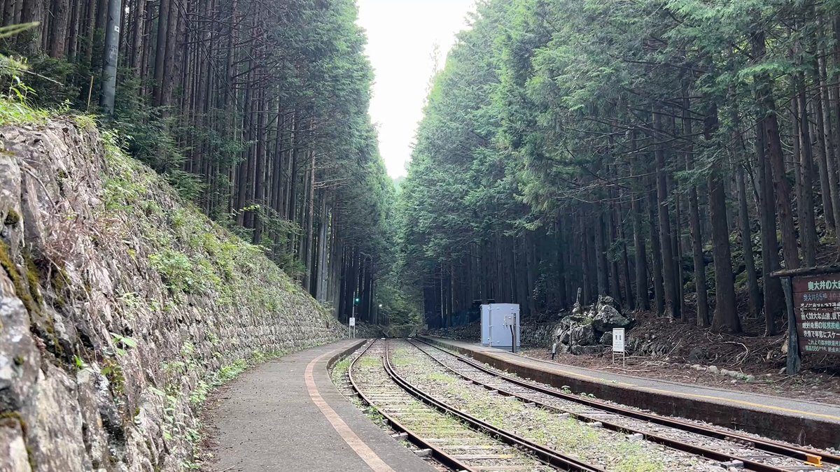 kuma (@trta01) / X