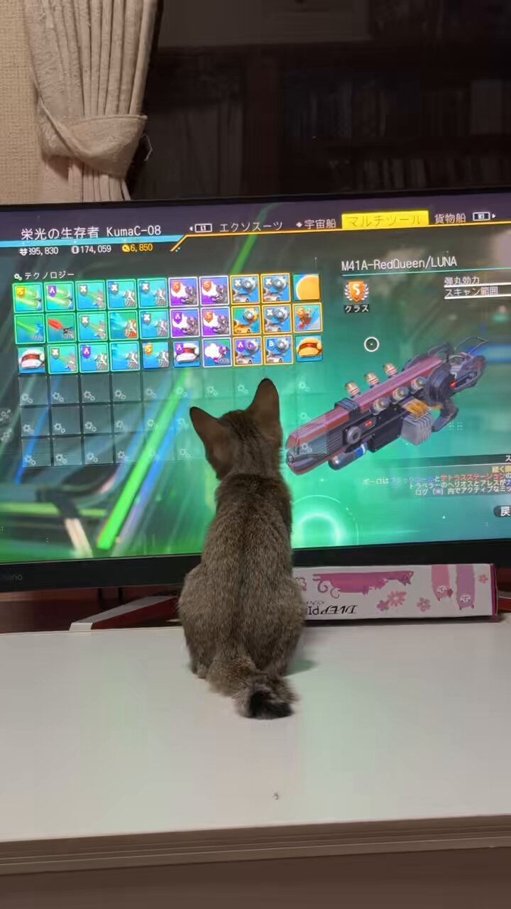 くましゐ🎪🍬 on X: 