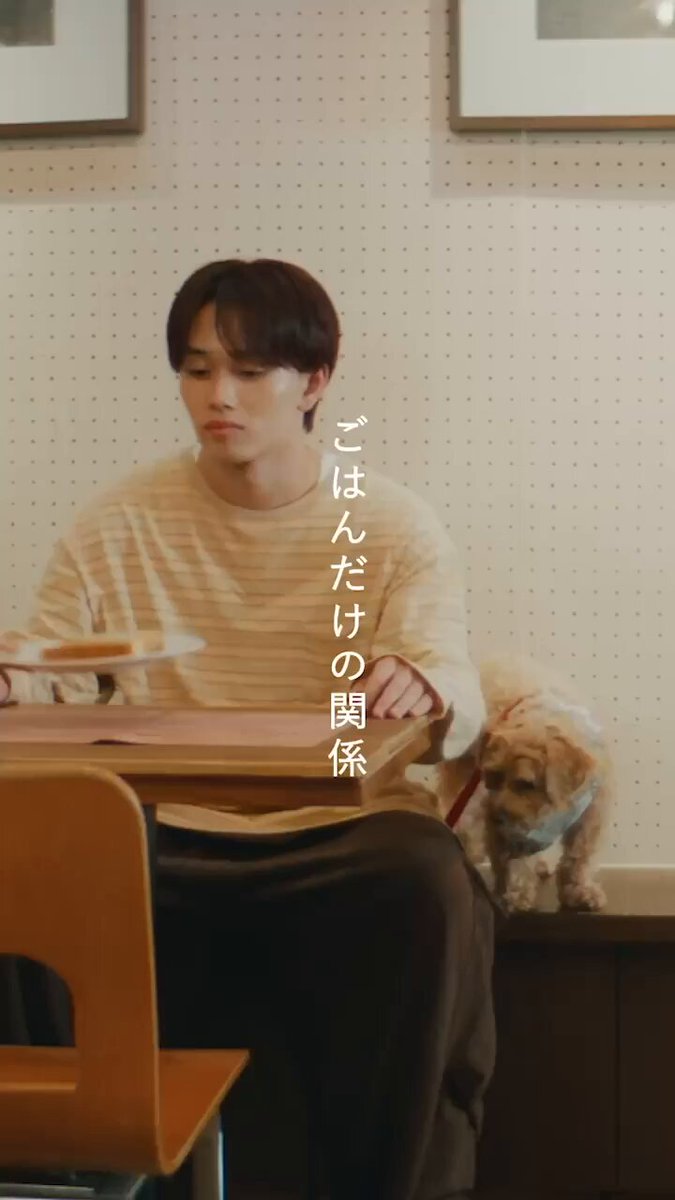 超特急 OFFICIAL (@sd_bt) / X