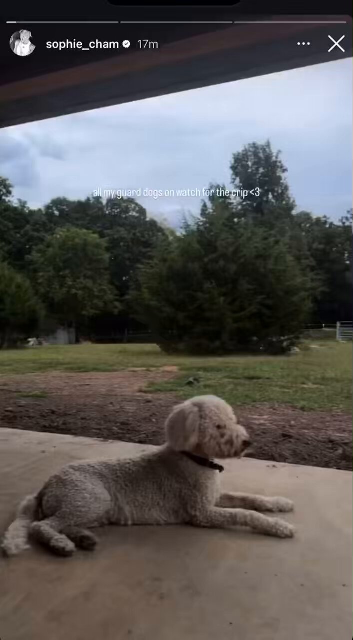 CaitlinFor3 on X: "Sophie Cunningham is back home in Missouri with her dogs  and horses. Fever farm girl. https://t.co/toYlO7LU53" / X