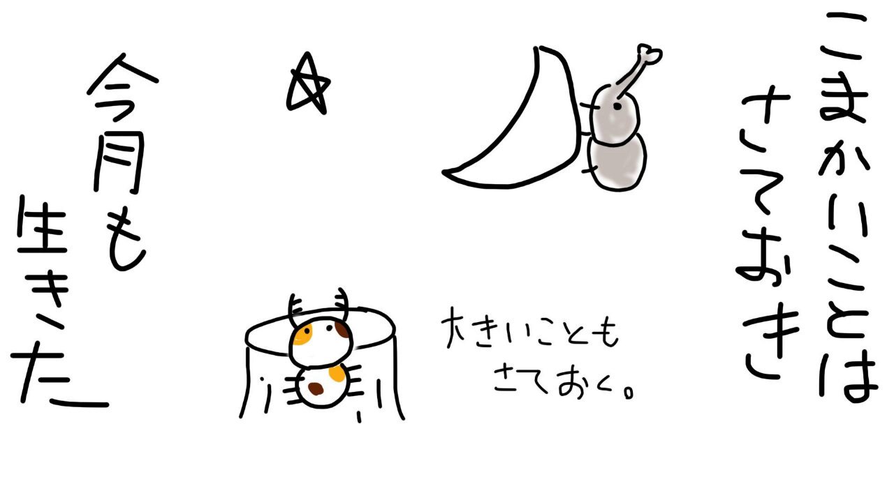 ちゃぁりぃ(kanro)♀@叛逆の妹 on X: 