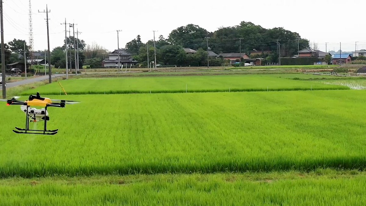 X懸賞(Twitter懸賞)】QUOカード3000円分を10名様にプレゼント【〆切