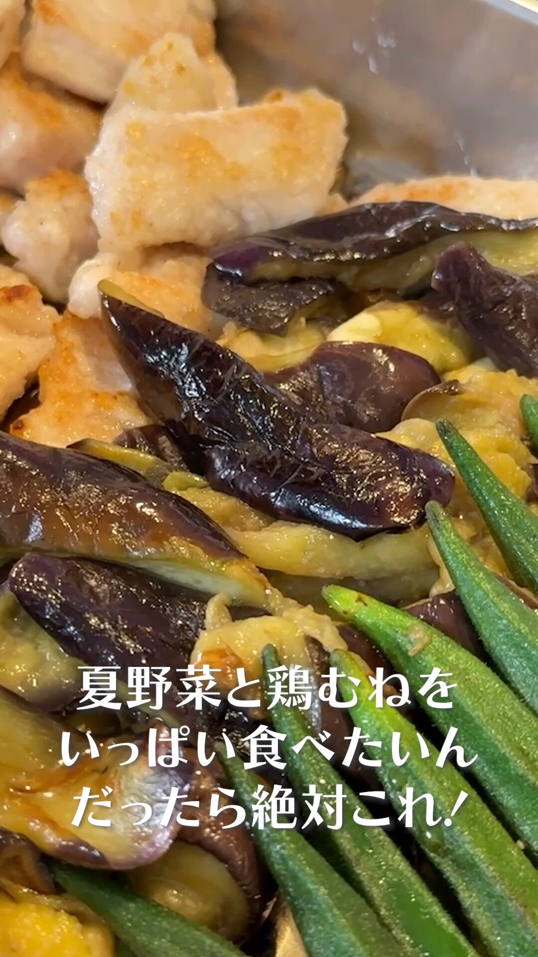 追加 計14冊 料理 レシピ 京料理 パン 手抜き 子供 和食