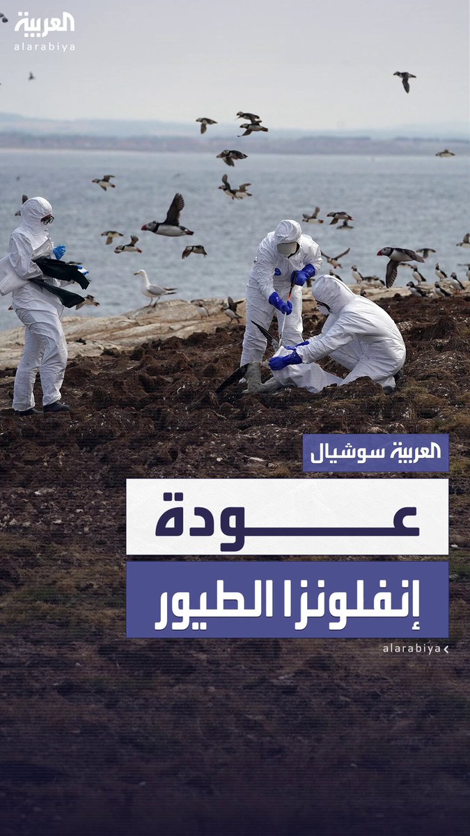 الحكومة البريطانية تعلن عن تفشي نسخة شرسة من فيروس إنفلونزا الطيور.. في مزرعة دواجن جنوب غرب #إنجلترا 