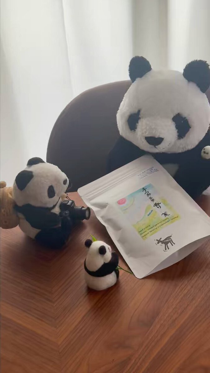 PANDA KENJI (@PANDA_KENJ1) / X