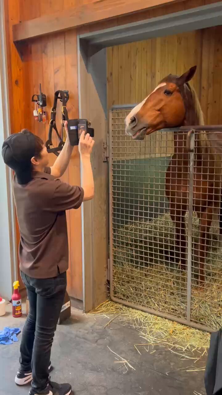オルフェーヴル ドリームジャーニー 単勝馬券セット オルフェーヴル ドリームジャーニー 単勝馬券セット オ