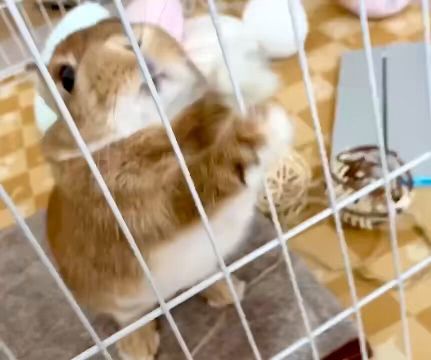 白鷺琴音です 水瀬琴音🐥レースアンバサダーアワード2024グランプリ👑応援