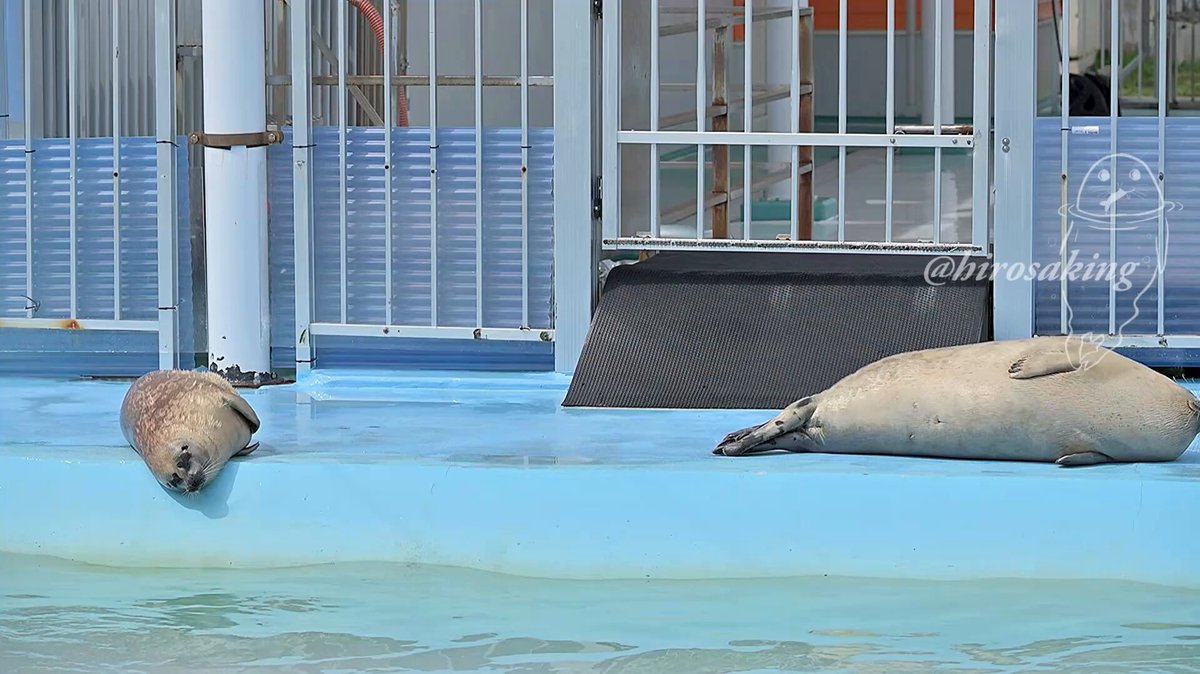 わたあめよっとページ わたあめ☁️🍴 on X: 