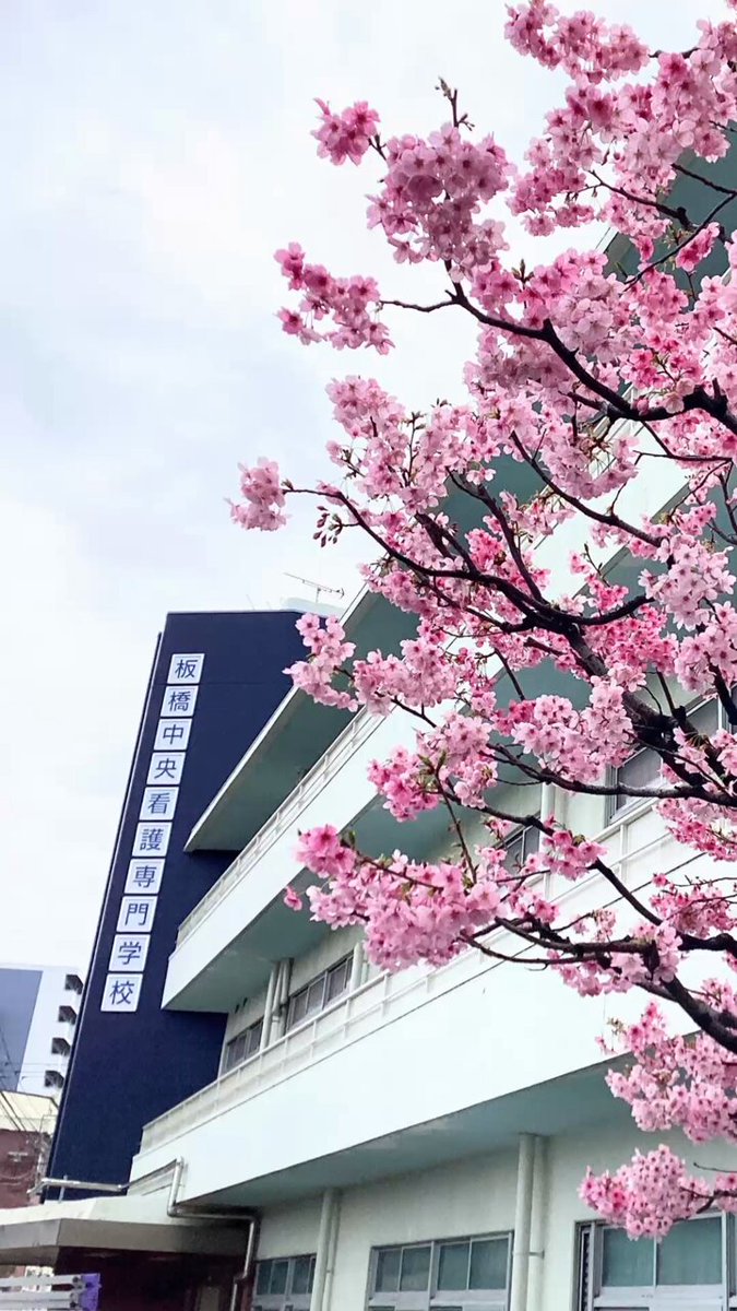 看護専門学校受験対策集 (板橋中央看護専門学校) 板橋中央看護専門学校(第1学科)・2ヶ月対策合格セット問題集(15