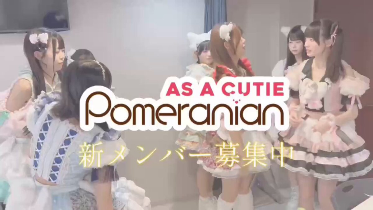 あずぽて。 公式】As a Cutie Pomeranian(あずぽめ) (@aacp_official) / X