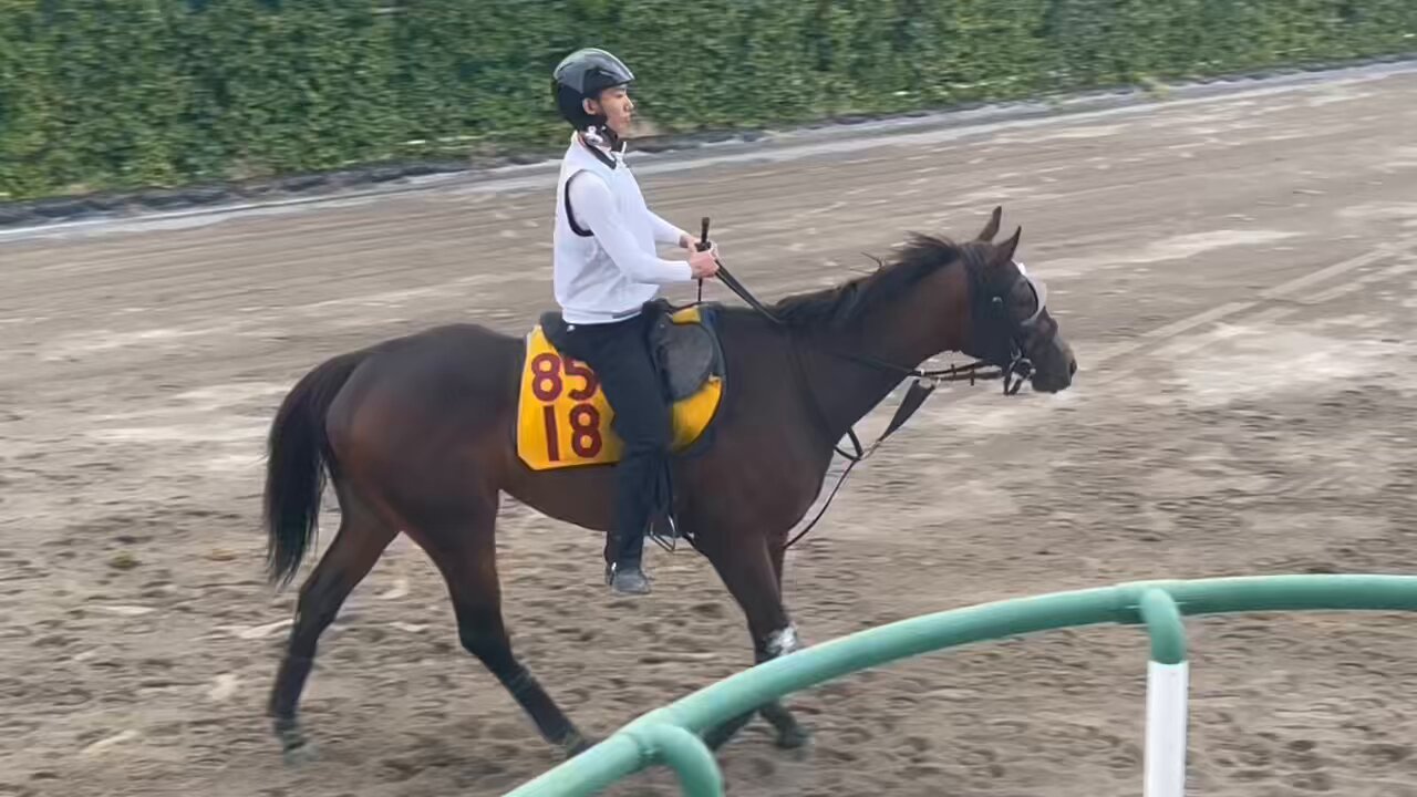 スキル＆クロワ・キタサンブラック継承ヒストリー スキル＆クロワ・キタサンブラック継承ヒストリー 東京芝千八の