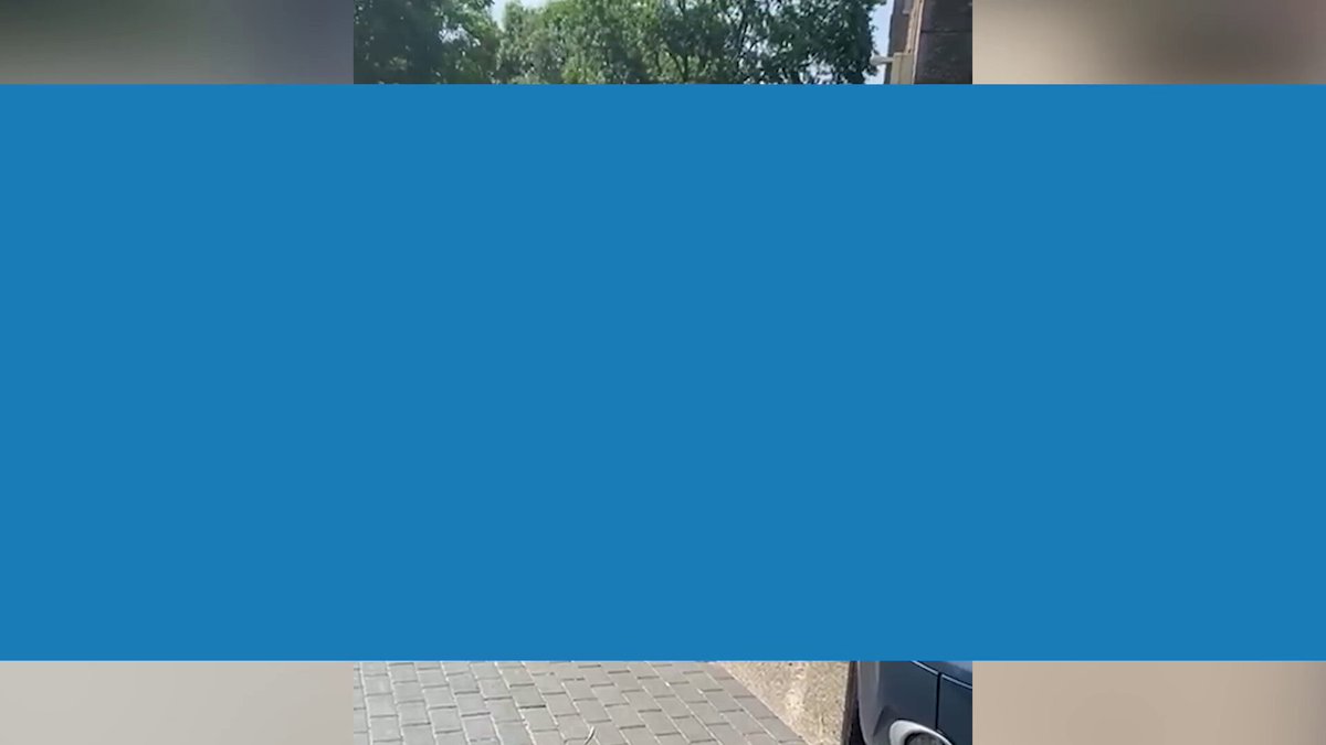 Bewoner azc Sweikhuizen richt schade aan auto's