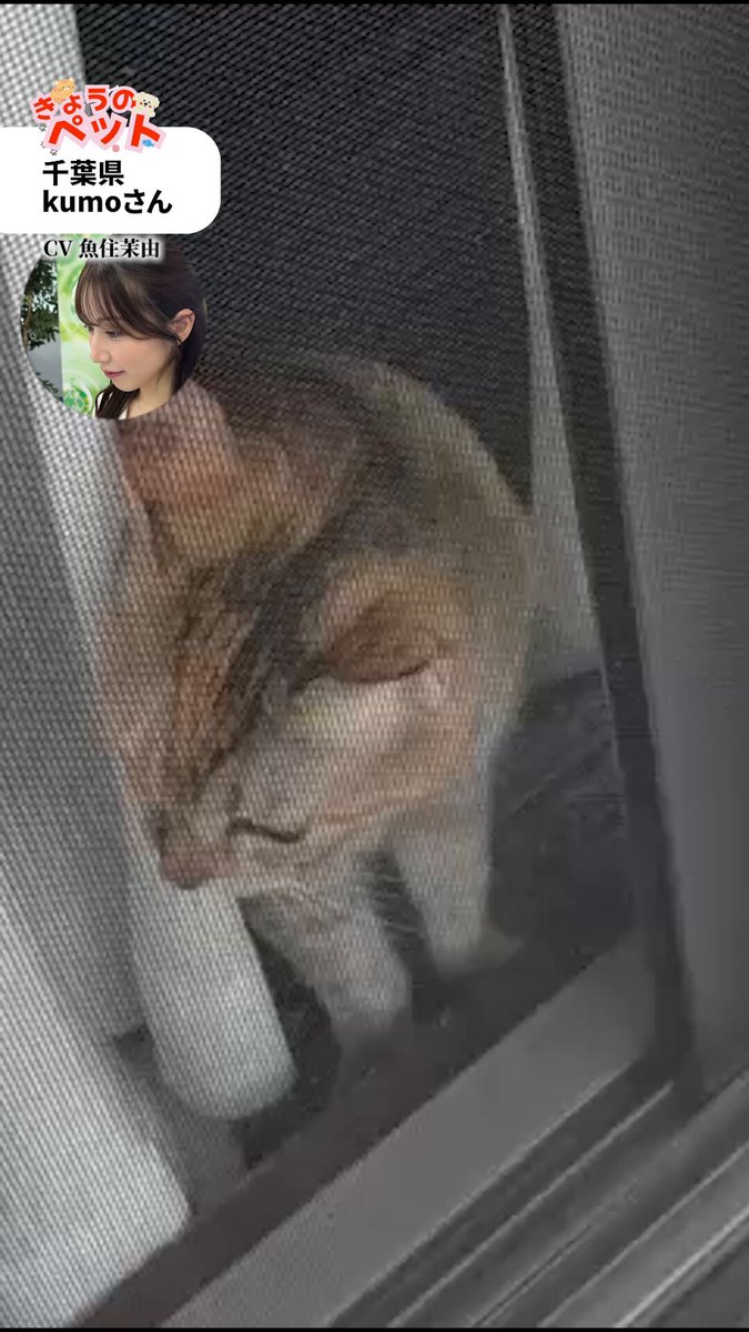 Video oleh @wni_live