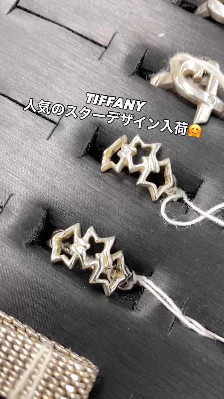 アクセサリー sota DIAMOND HORSESHOE NECKLACE(2SN1661)SV925/K10 ネックレス