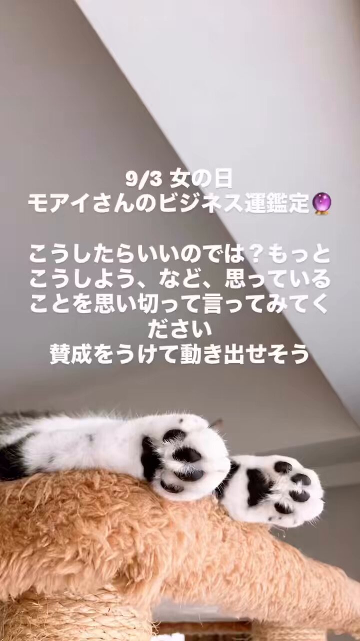 藍桔.(あきつ)/運を開く手の占い師 on X: 