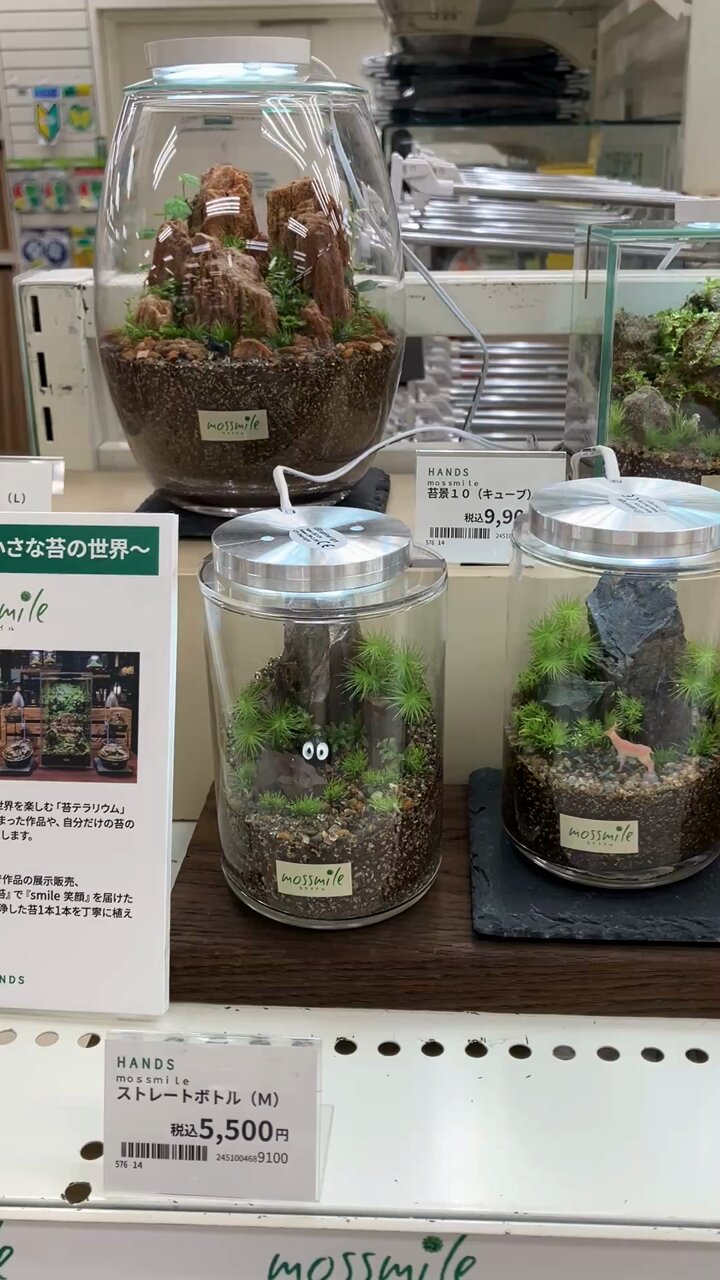 【受注生産】苔テラリウム ハンズ名古屋店 on X: 
