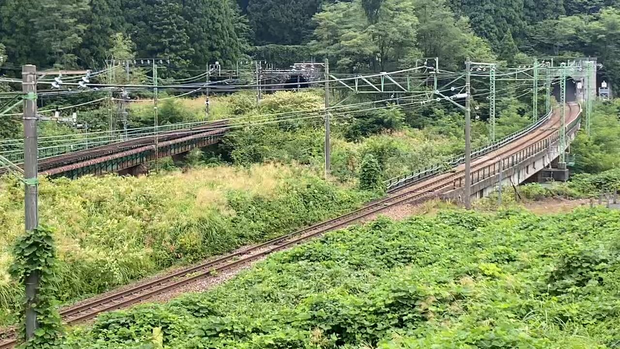 匿名配送　戦線復帰　50枚 こうちゃん on X: 