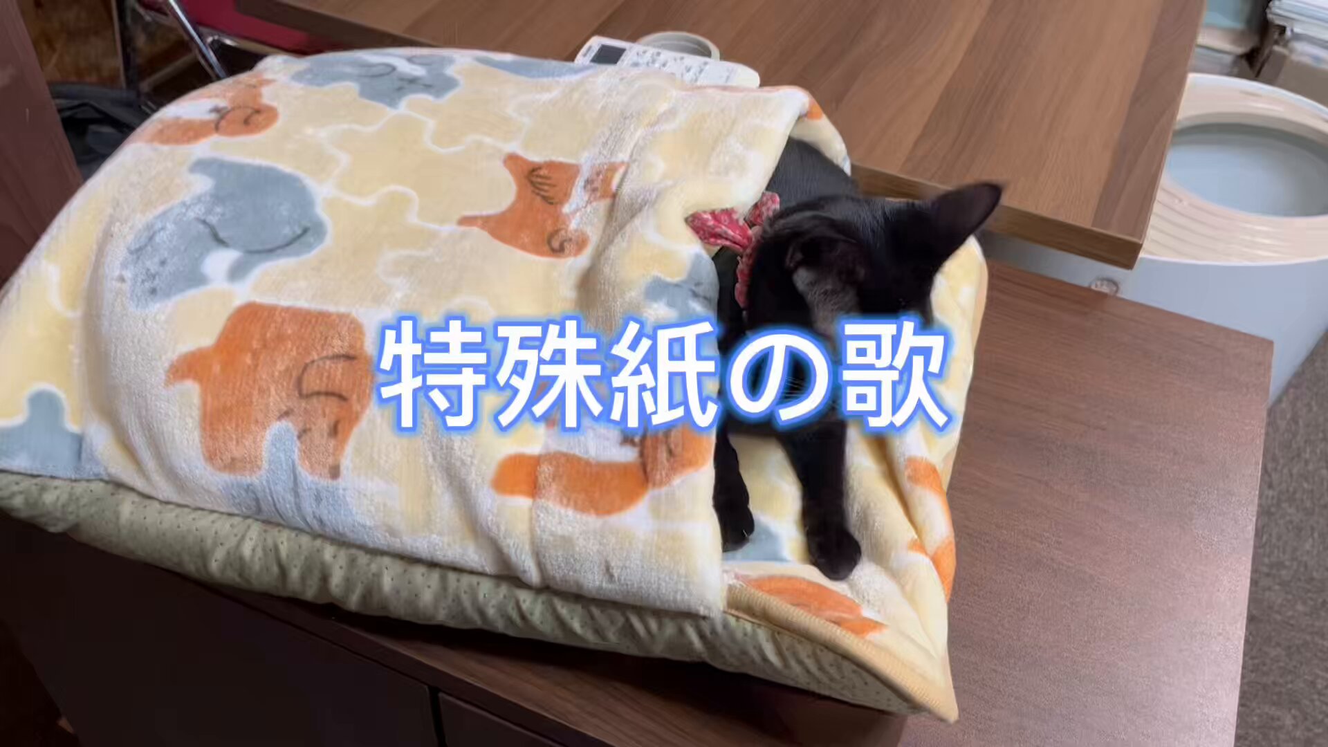 相似象学会誌4号　サラダ 同人誌印刷会社しまや出版【公式】 on X: 