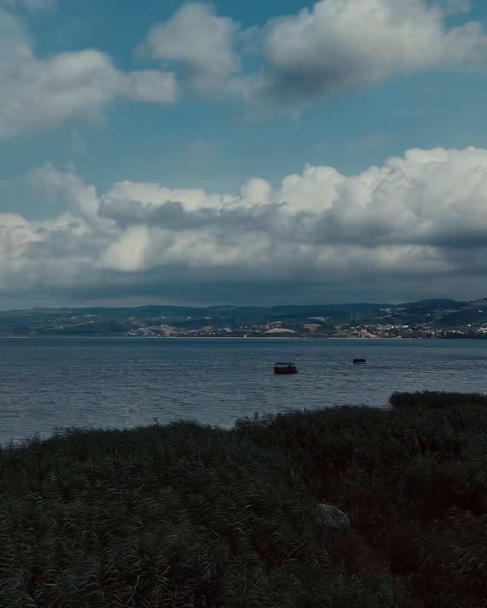 Sapanca Gölü’ne Yaşam Verme Mücadelesi