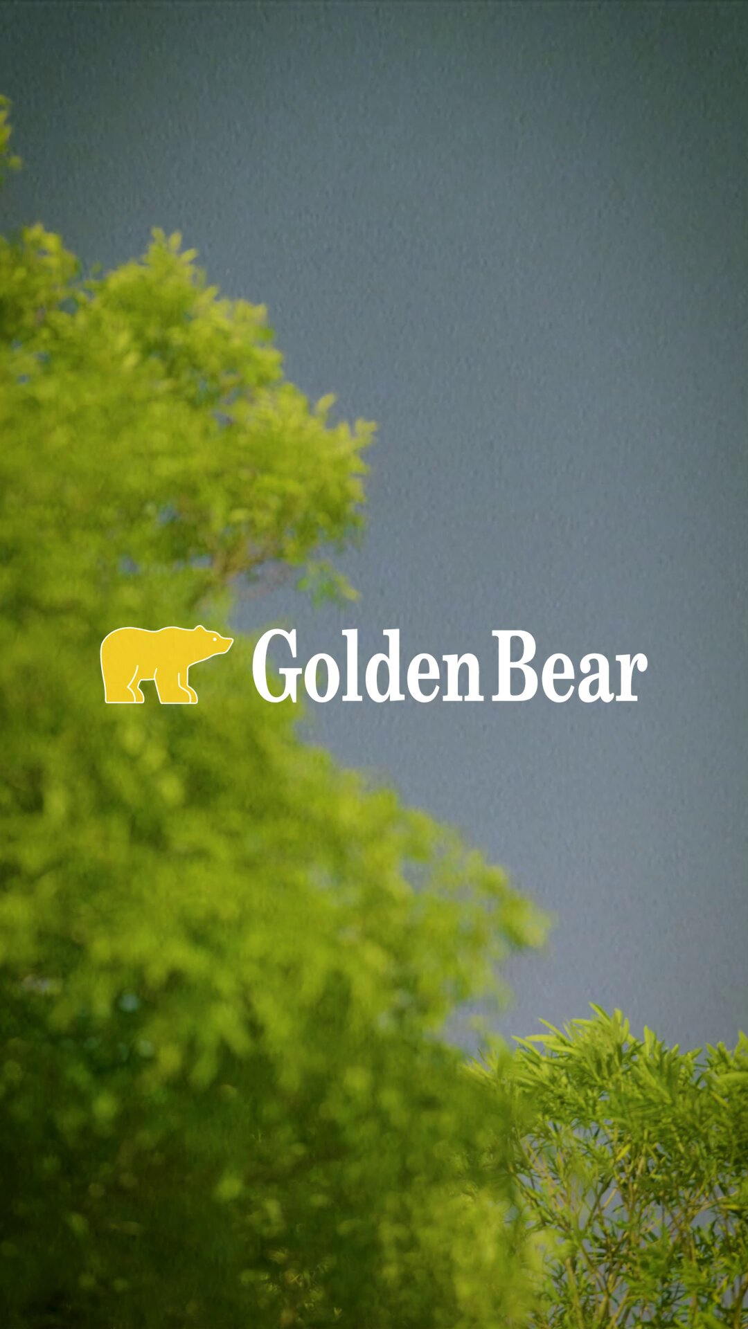 【はーちゃん　様】【新品タグ付き】2025年新作 ゴールデンベアー　サイズＭ ゴールデンベア (@goldenbear_jp) / X