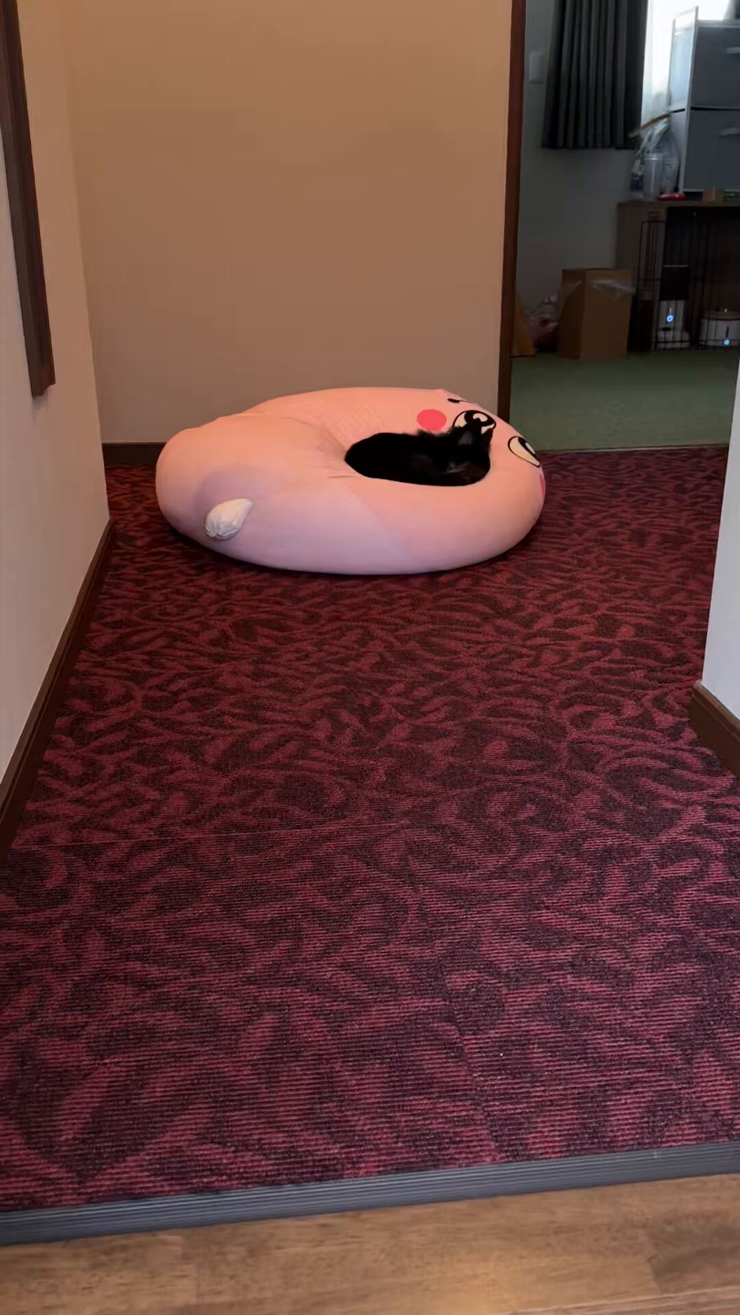 フィッシャーズ まさい BIG hq720.jpg?sqp=-