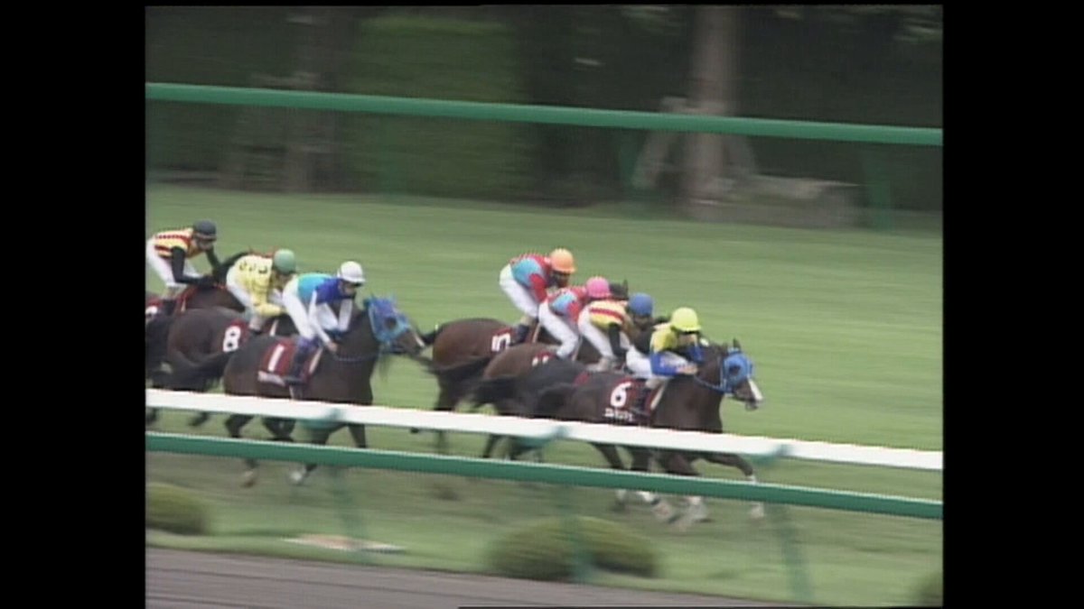 kiya6140 （80B）アイボリー！最後の1点❗️パット外すと80Cくらいです サイズ調整可】ラフィアメランジ ハット （ハット）｜JOSEPH