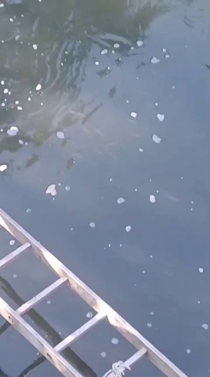 Mudurnu Deresi Eski Güzelliğine Yeniden Kavuşuyor