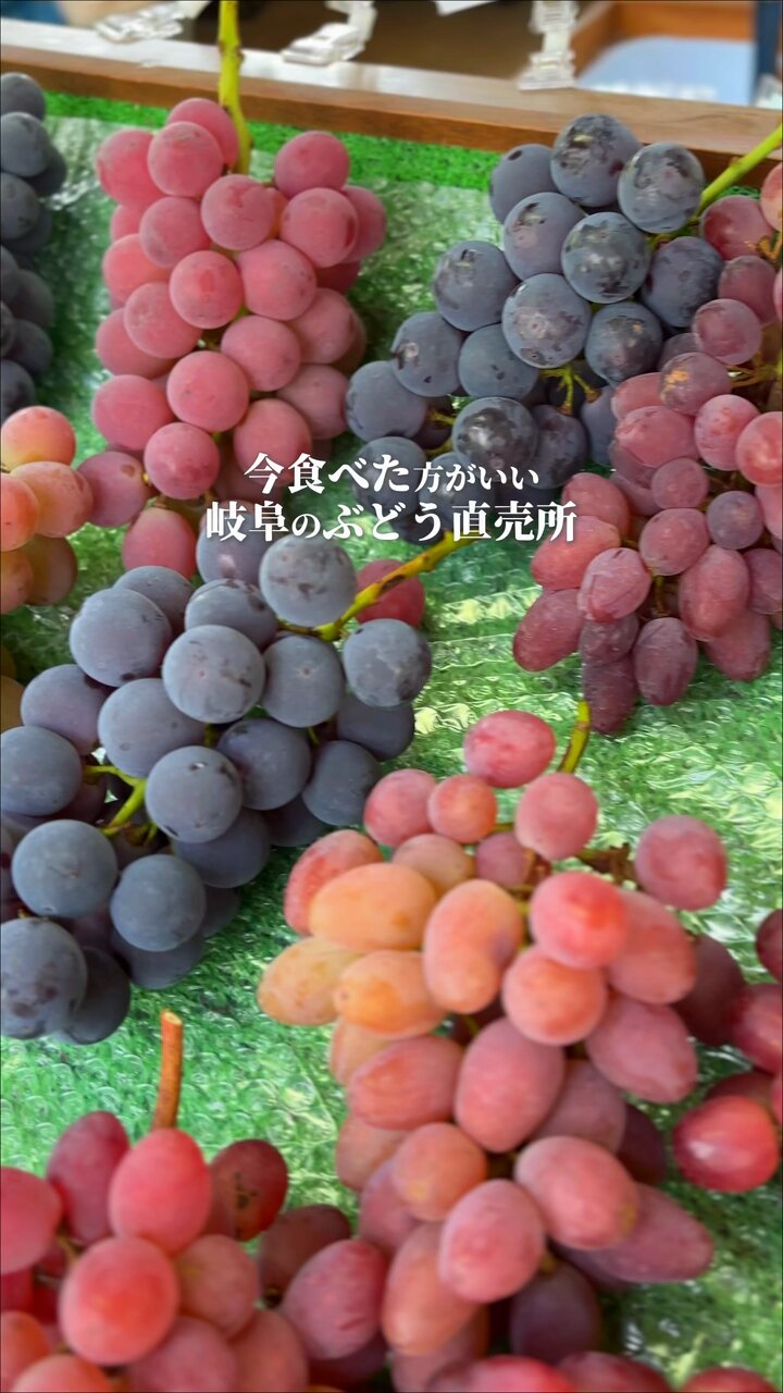 ぶどう - Search / X