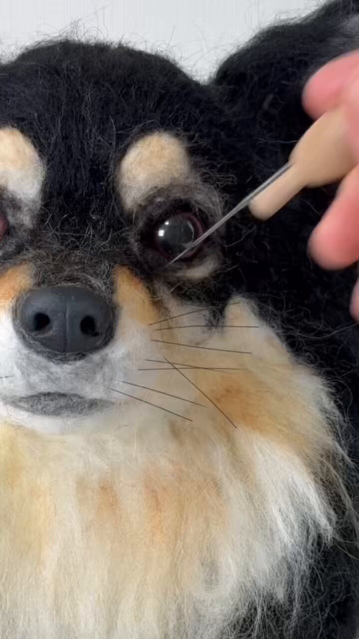 ★memeco★羊毛フェルト【ペキニーズ】犬　メモリアル　マック ☆memeco様専用☆羊毛フェルト【ペキニーズ】犬 メモリアル