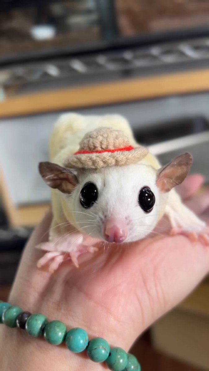 あのこ ぴょこぴょこ帽子 ちいかわパーク あのこ ぴょこぴょこ帽子 - メルカリ