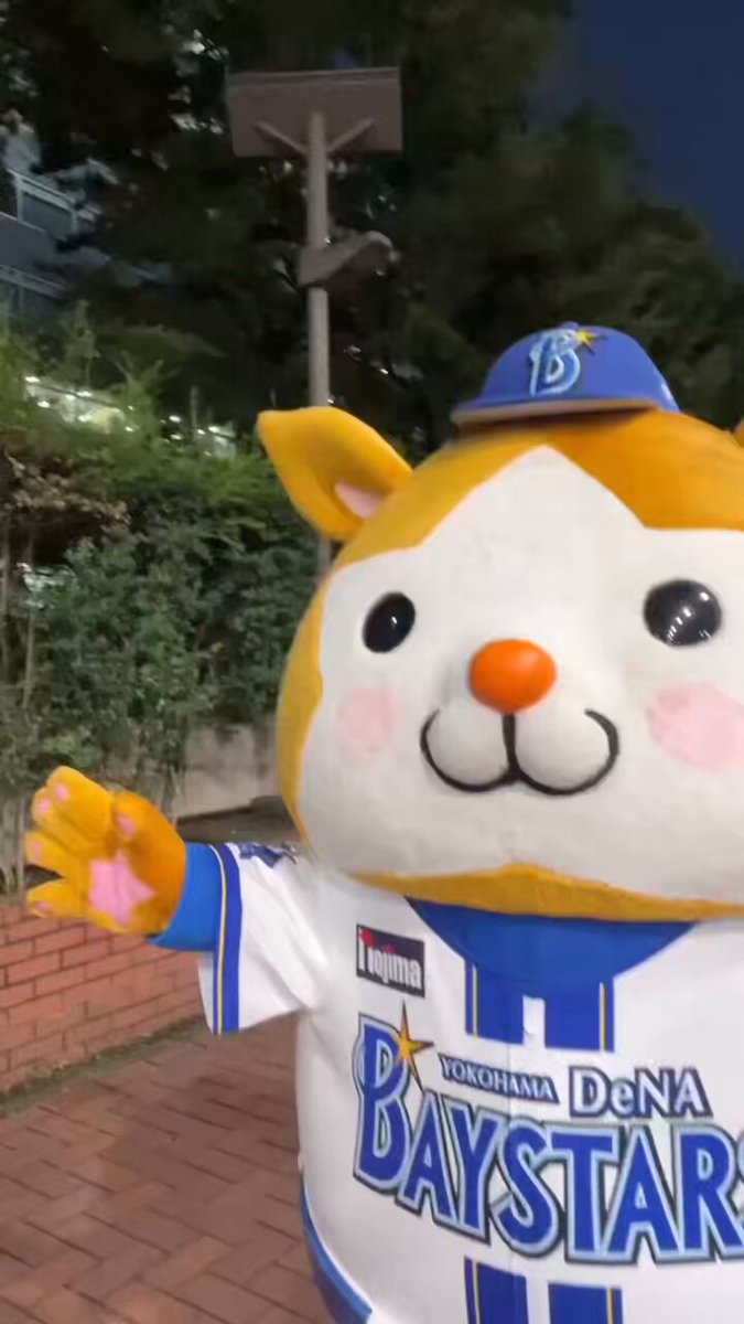 はね♡様リクエストページ シクフォニ🎼 on X: 