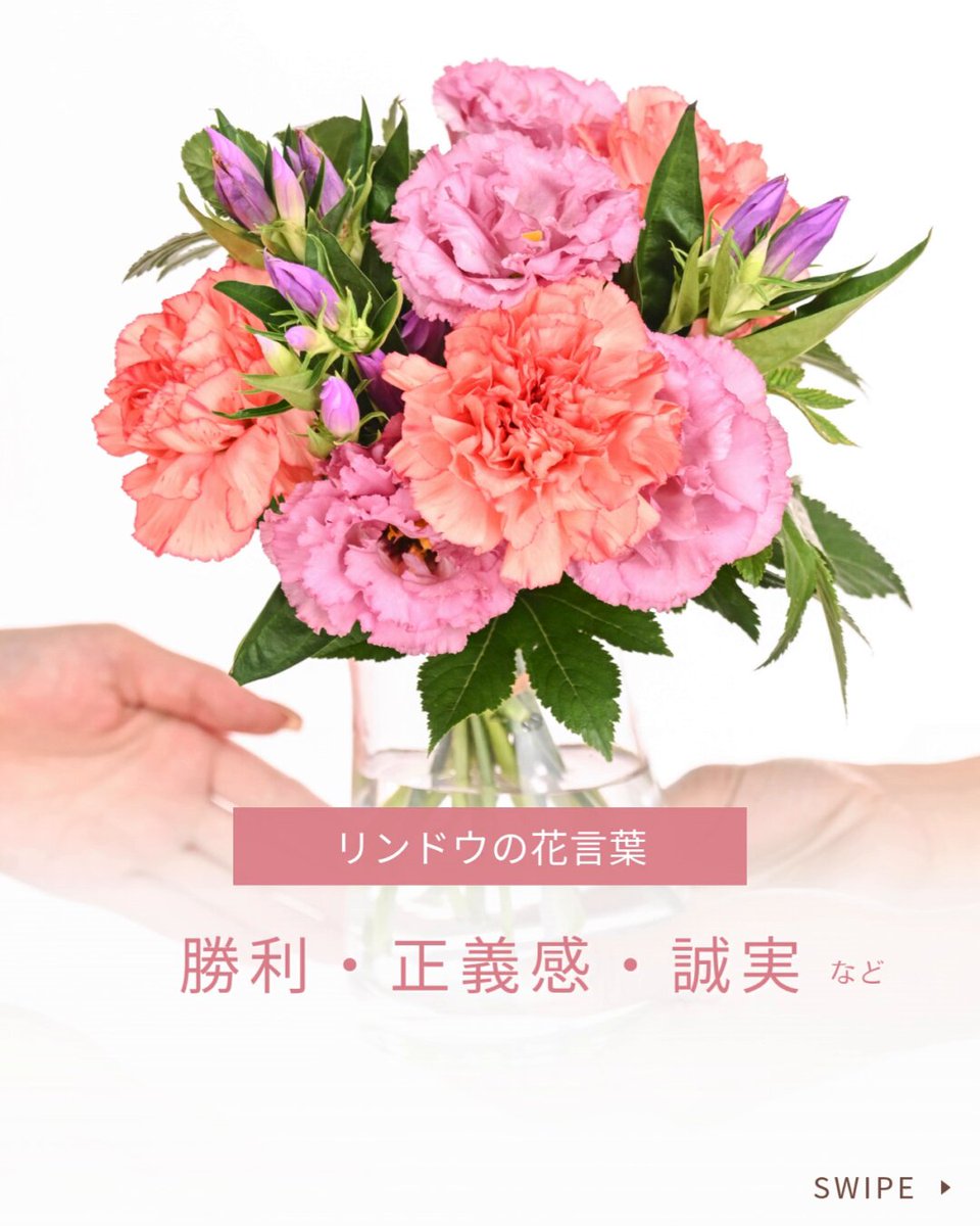 花キューピット【公式】 (@i8791) / X