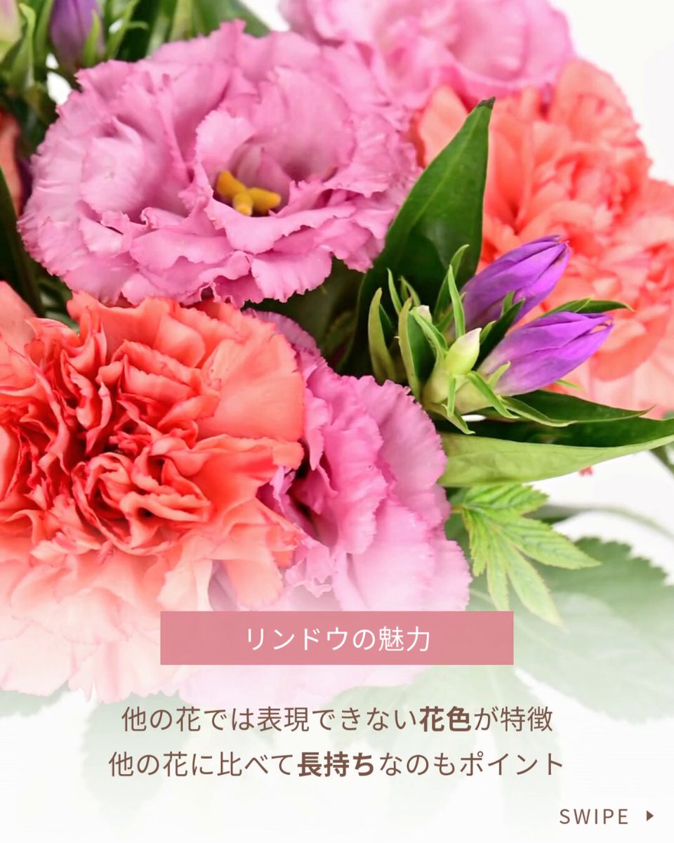 ❤️お買い得❤️現品限り❤️送料無料【❤️メルヘン88❤️】 花キューピット【公式】 (@i8791) / X