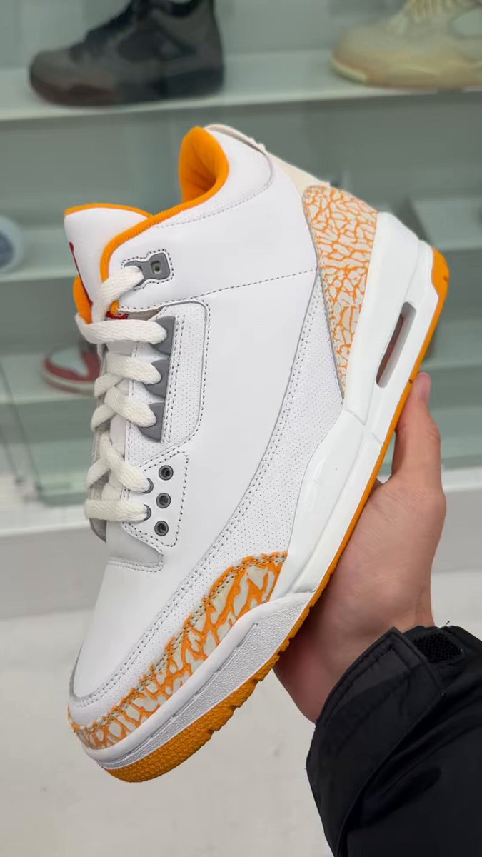 パイロゲン 12本　2026.1.16 BoMRHLIDQk8cH8Ko.jpg