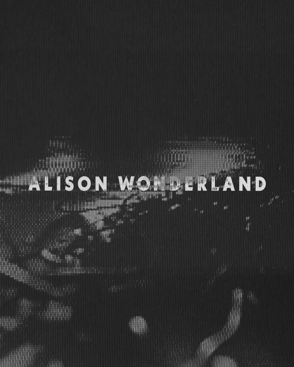 アリソン・ヴォート Allyson Vought デビットウィラードソン sddefault.jpg