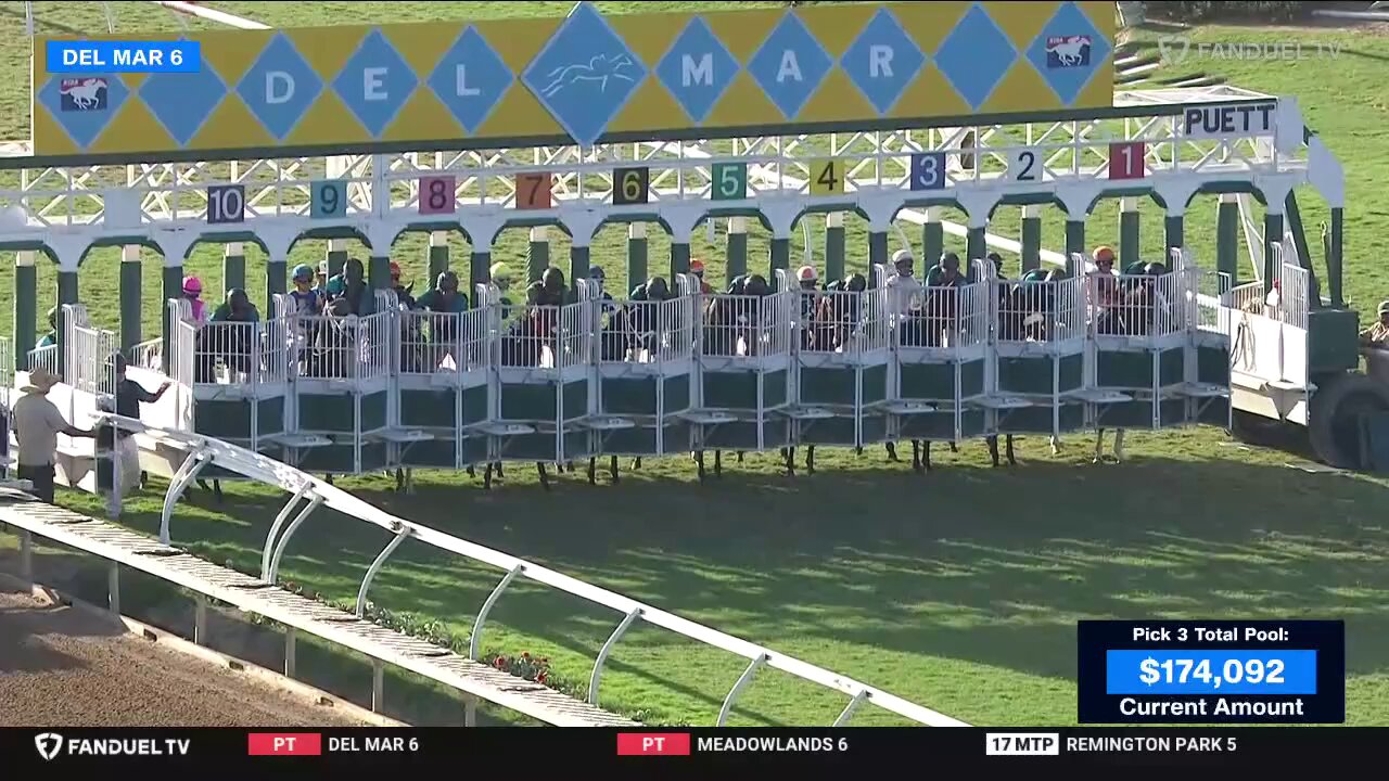競馬　直筆サイン　モーリス　リアルスティール　ムーア　ミルコ　フォーエバーヤング フォーエバーヤング（Forever Young） | 競馬データベース | JRA