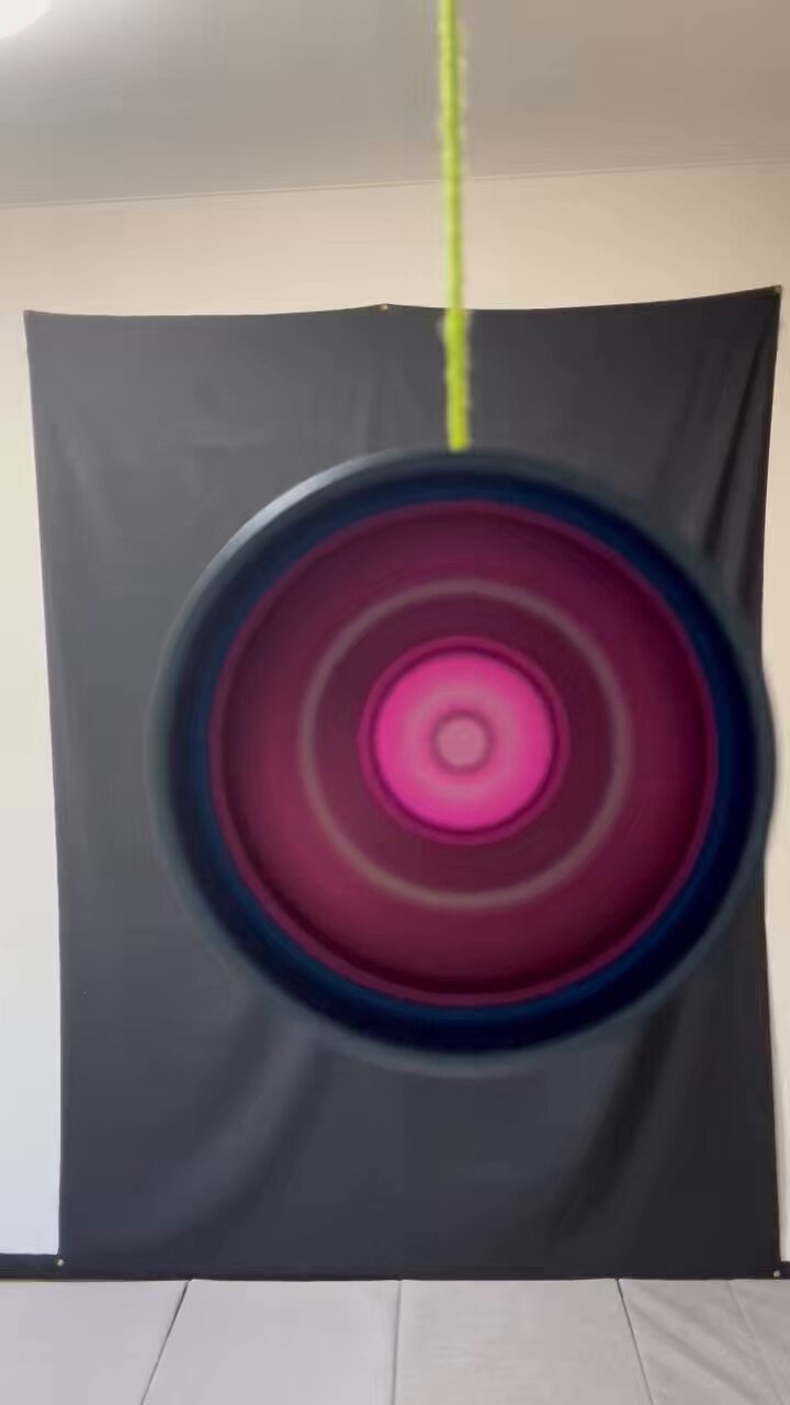 モズ　ヨーヨー モズ（マットティール・マットパープルリム） | yoyospaceas