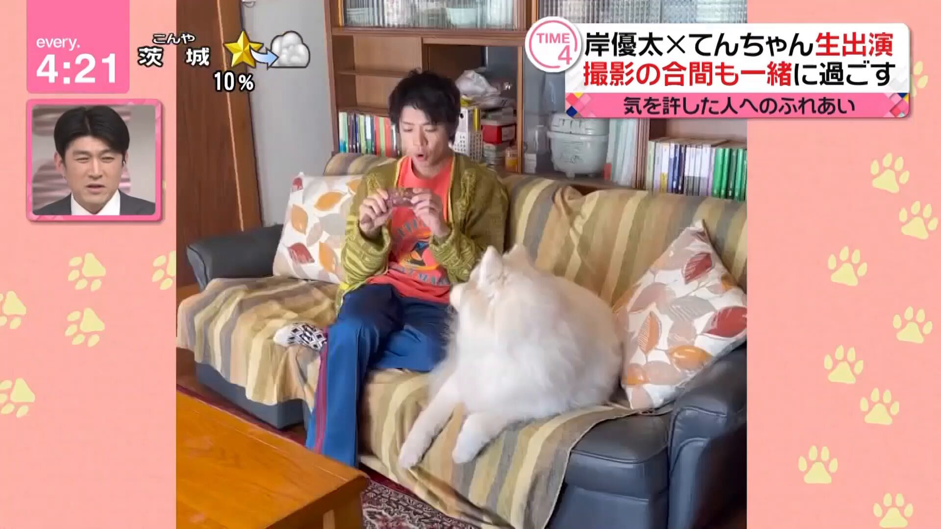 たそきち on X: 