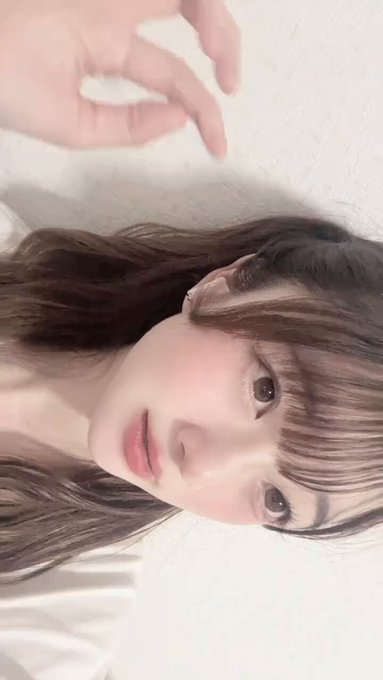 池猫 ~池袋の猫たち~のツイート