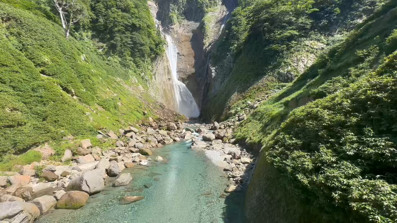 杉っぺ (@34_barkley) / X