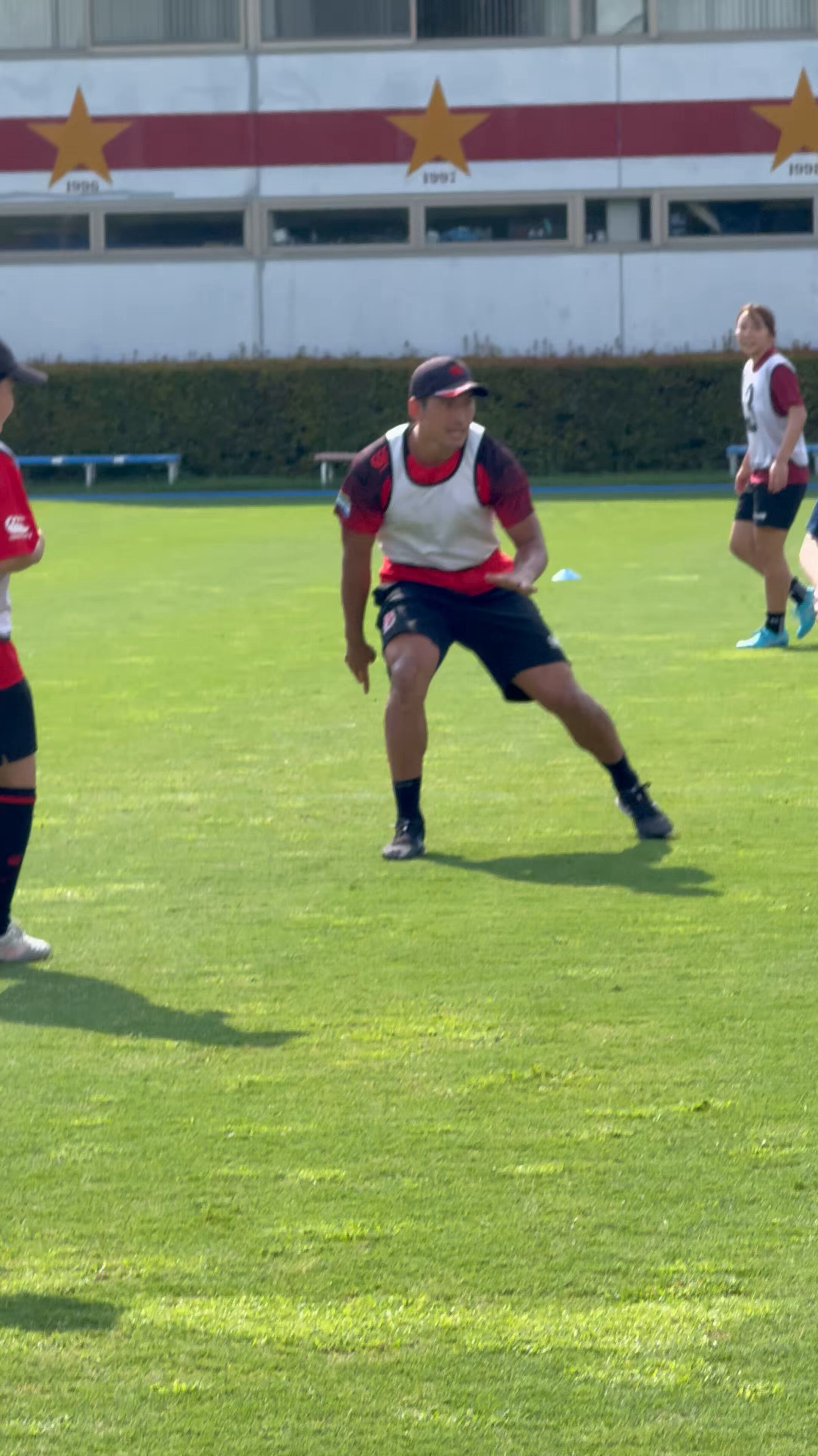 TOSHIBA 東芝ブレイブルーパス　プラクティスプルオーバー 東芝ブレイブルーパス プラクティスプルオーバー RUGBY FREAKS