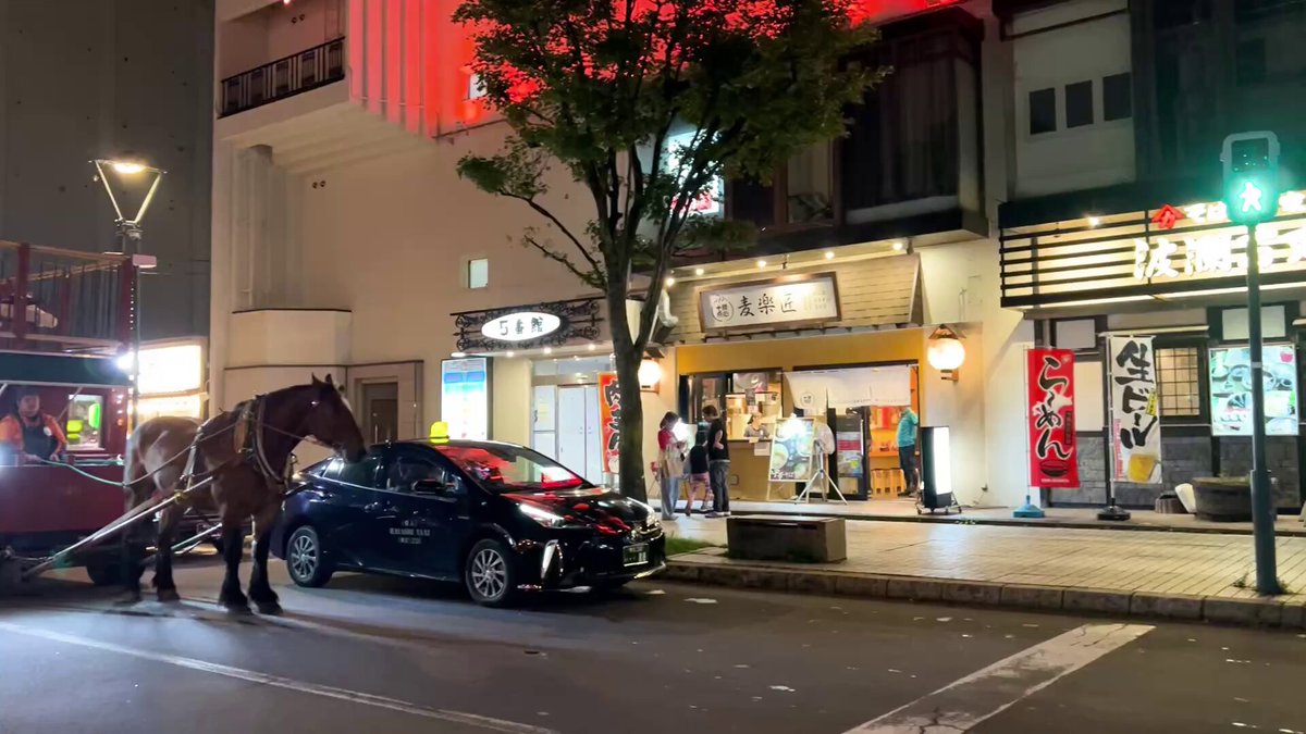 【馬好きざあたす】室内ダクト・ブラック・たて桟 Back on Track®冷却ブランケット - 馬具・乗馬用品のサジタリアス