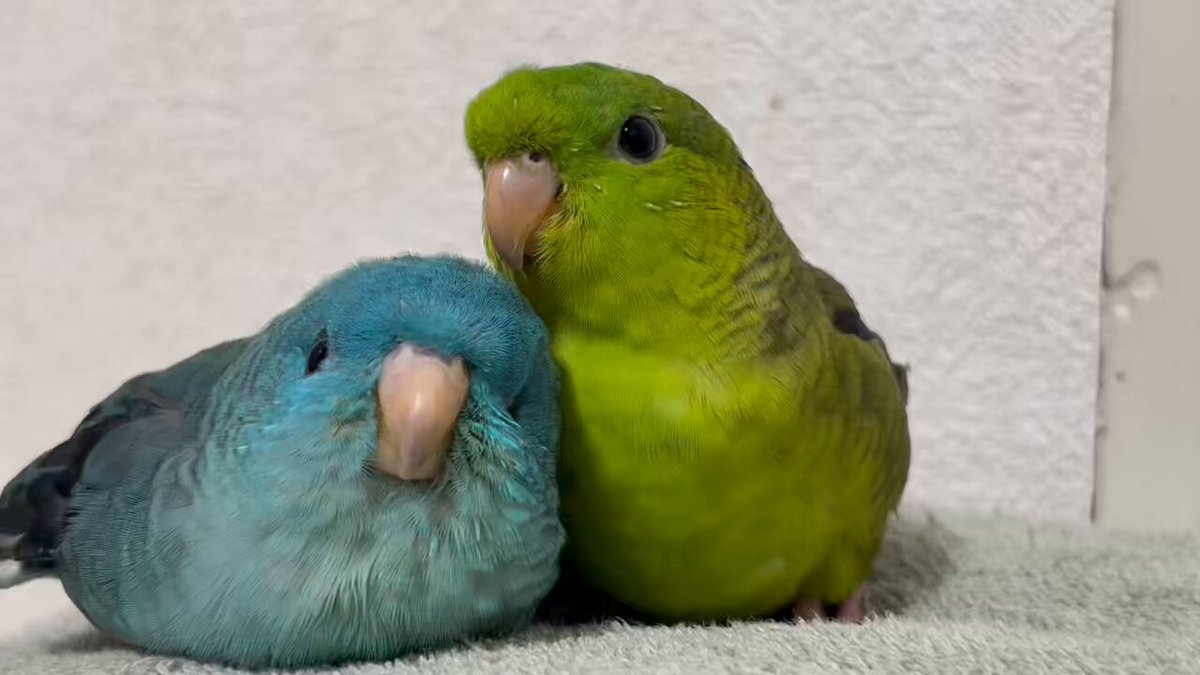 LMK (@LMK87887) / Posts / X