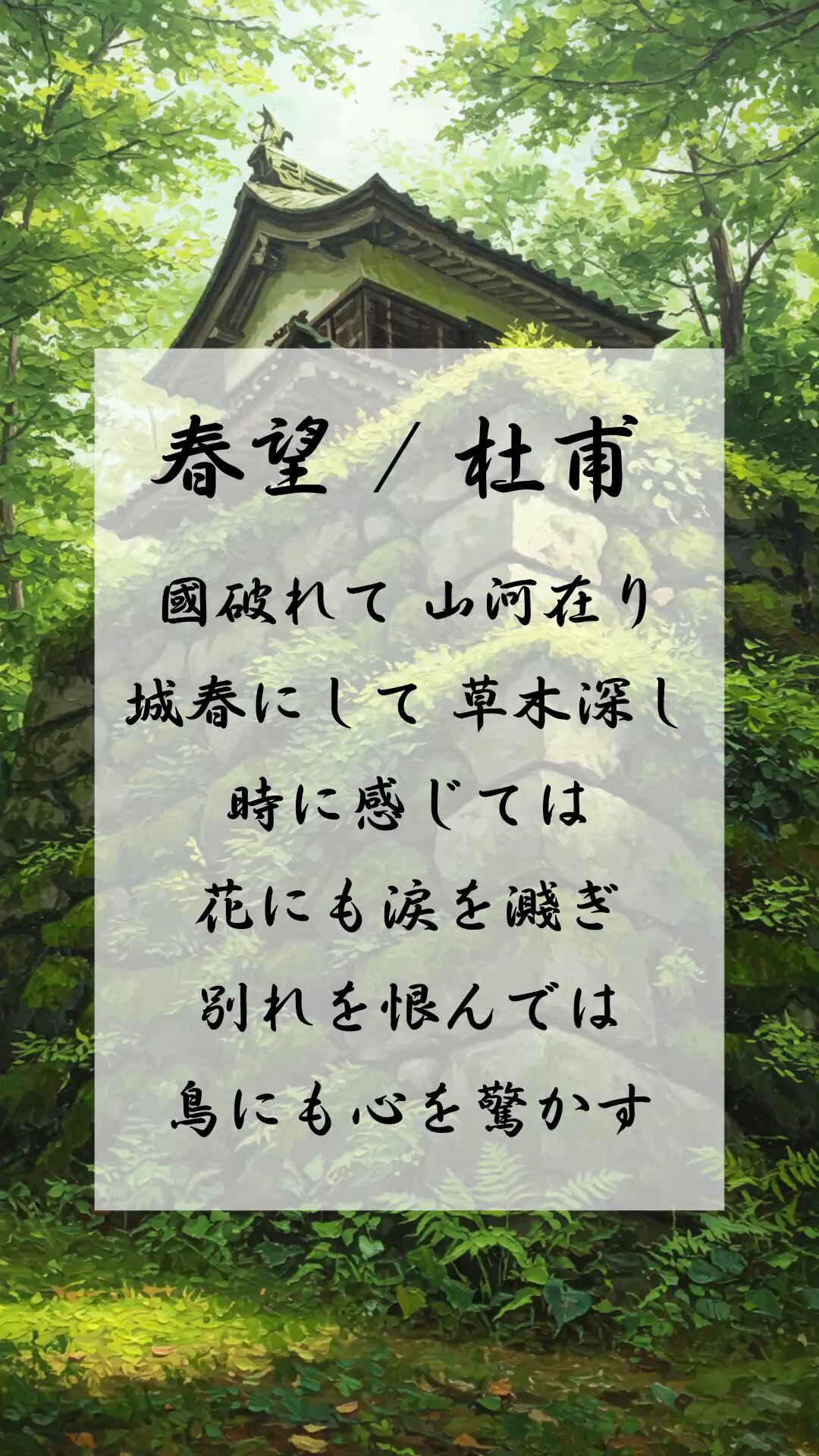 続国譯漢文大成　杜少陵詩集　本体の状態良好ですが、外函の汚れがある。 続国譯漢文大成 杜少陵詩集 本体の状態良好ですが、外函の