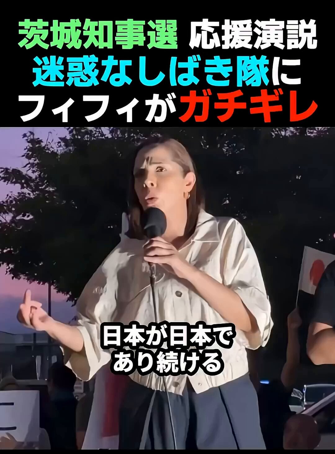 猫田にゃん Amazon.co.jp: 獣医師監修 うちのこエレクトリック 球体自動