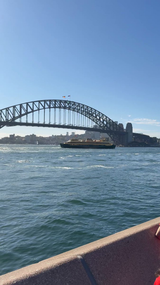 2009 鹿島アントラーズ　田代有三選手　レプリカユニフォーム　優勝パッチ付　M 2009 鹿島アントラーズ 田代有三選手 レプリカユニフォーム 優勝