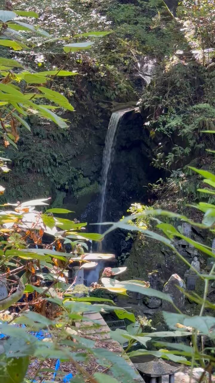 【中古】 ザ・湧水 自然を楽しみおいしい水に出会う旅 本州版/サンドケー出版局/滝沢一渓 中古】 ザ・湧水 自然を楽しみおいしい水に出会う旅 本州版