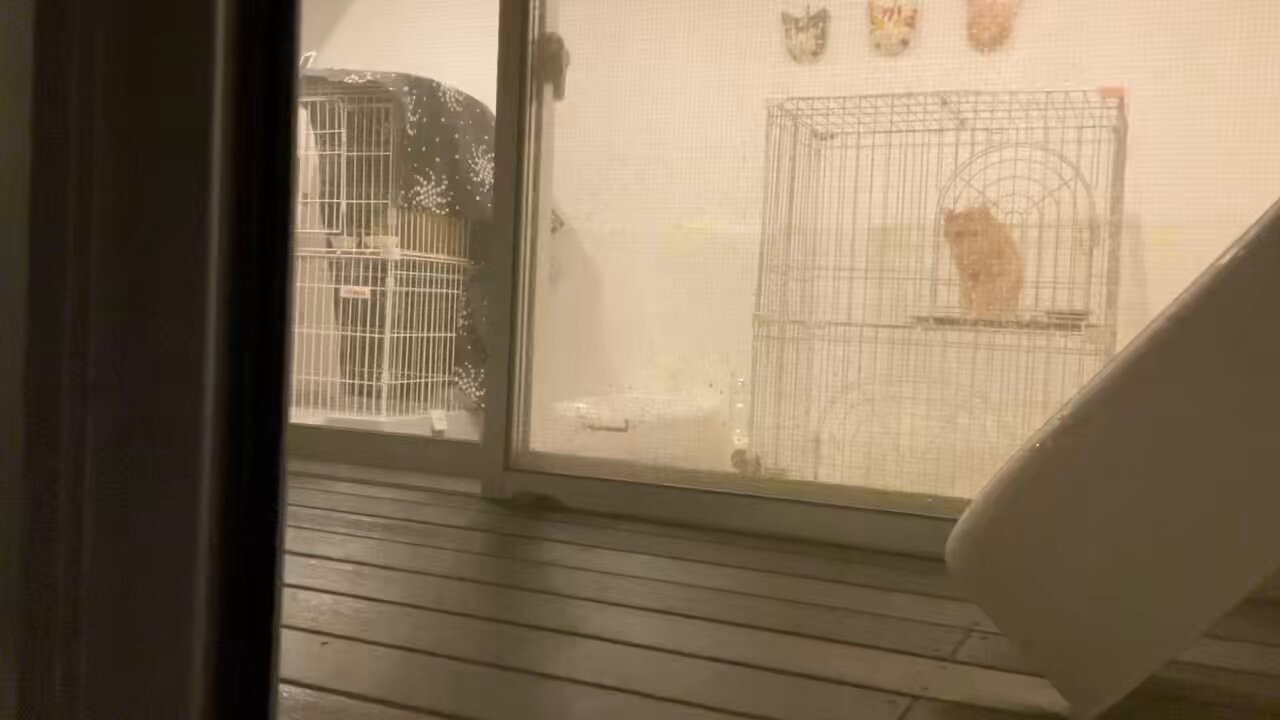にゃん太通販+にゃっ展+にゃんにゃんBOX+猫十字 (@nyantashop) / X