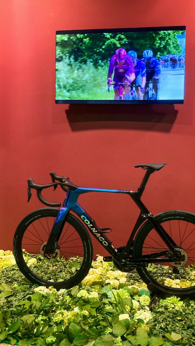 COLNAGO JAPAN (@nbscolnago) / X